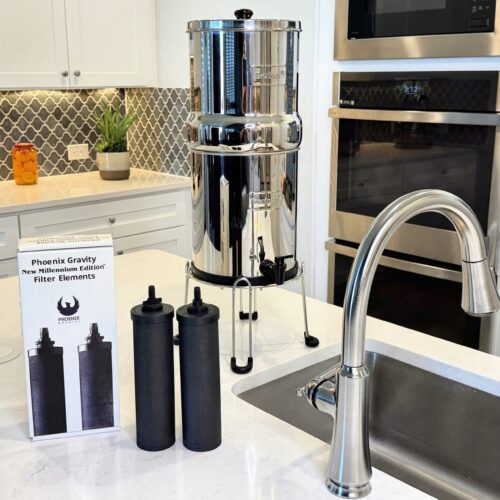 Phoenix Gravity New Millennium Edition™ Filter Elements - Image 8